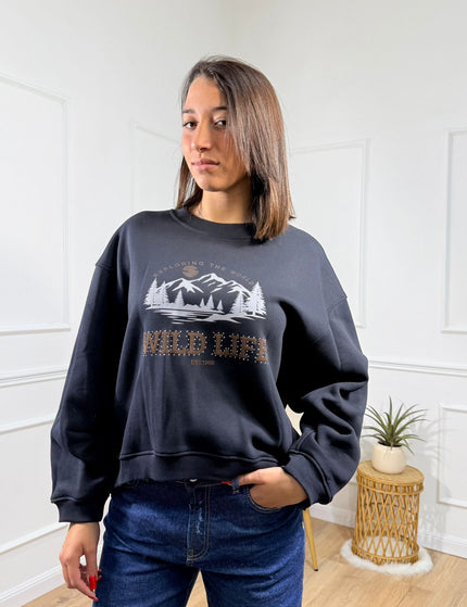 Collection image for: VICOLO